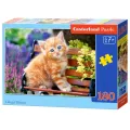 Castorland - Puzzle, Ginger Kitten 180 Pcs 18178