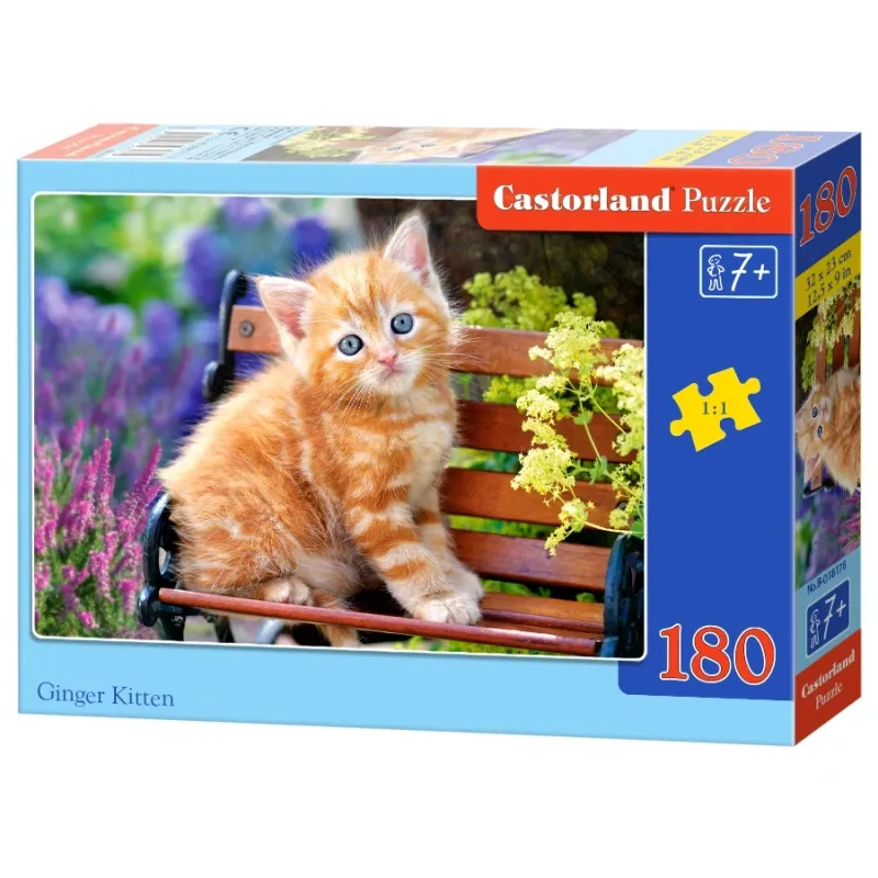Castorland - Puzzle, Ginger Kitten 180 Pcs 18178