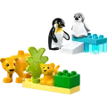 Lego Duplo - Wild Animal Families, Penguins & Lions 10442