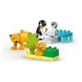 Lego Duplo - Wild Animal Families, Penguins & Lions 10442