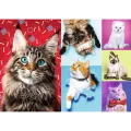 Trefl - Puzzle, Happy Cats 1000 pcs 10591
