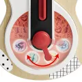 Top Bright - Music Activity Guitar 121238