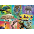 Trefl - Puzzle, In An Exotic World 200 pcs 13280