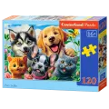 Castorland - Puzzle, Pets Selfie 120 Pcs 13609
