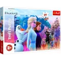 Trefl - Puzzle Maxi, Frozen 2 24 Pcs 14298 Trefl - Puzzle Maxi, Frozen 2 24 Pcs 14298