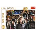 Trefl - Puzzle, Harry Potter And friends 160 Pcs 15418