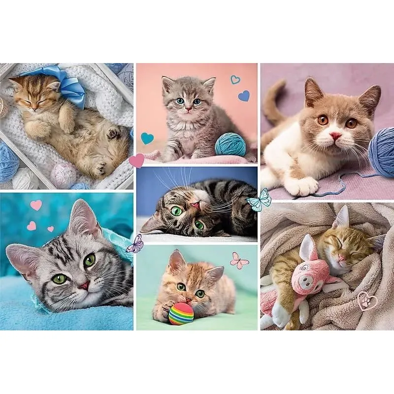 Trefl - Puzzle In the Cat's World 100 Pcs 16420