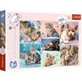 Trefl - Puzzle In the Cat's World 100 Pcs 16420