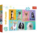 Trefl - Puzzle In The World Of Dogs 100 Pcs 16421