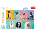 Trefl - Puzzle In The World Of Dogs 100 Pcs 16421