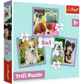 Trefl - Puzzle 3 in 1, Lovely Dogs 20/36/50 Pcs 34854