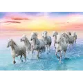 Trefl - Puzzle, Galloping White Horses 500 Pcs 37289