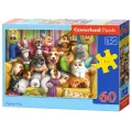 Castorland - Puzzle, Playful Pets 60 Pcs 66254