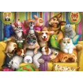 Castorland - Puzzle, Playful Pets 60 Pcs 66254