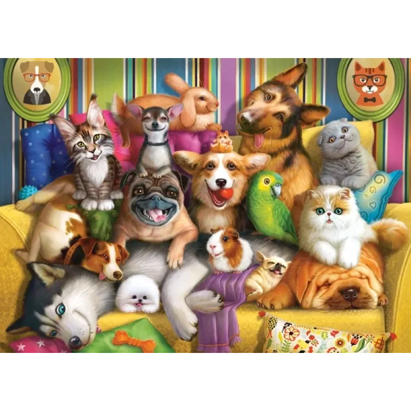 Castorland - Puzzle, Playful Pets 60 Pcs 66254