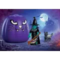 Playmobil Halloween - Μάγισσα 72360