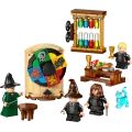 Lego Harry Potter - Hogwarts Castle: Sorting Hat Ceremony 76460