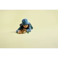 Lego Jurassic World - Baby Dinosaur Dolores, Aquilops 76970
