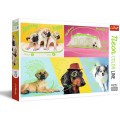 Trefl - Puzzle Neon Color Line, Far Out Dogs 1000 pcs 10578