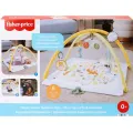 Fisher Price -  Γυμναστήριο Για Νεογέννητα Οι Πρώτες Μου Αισθήσεις JMN74