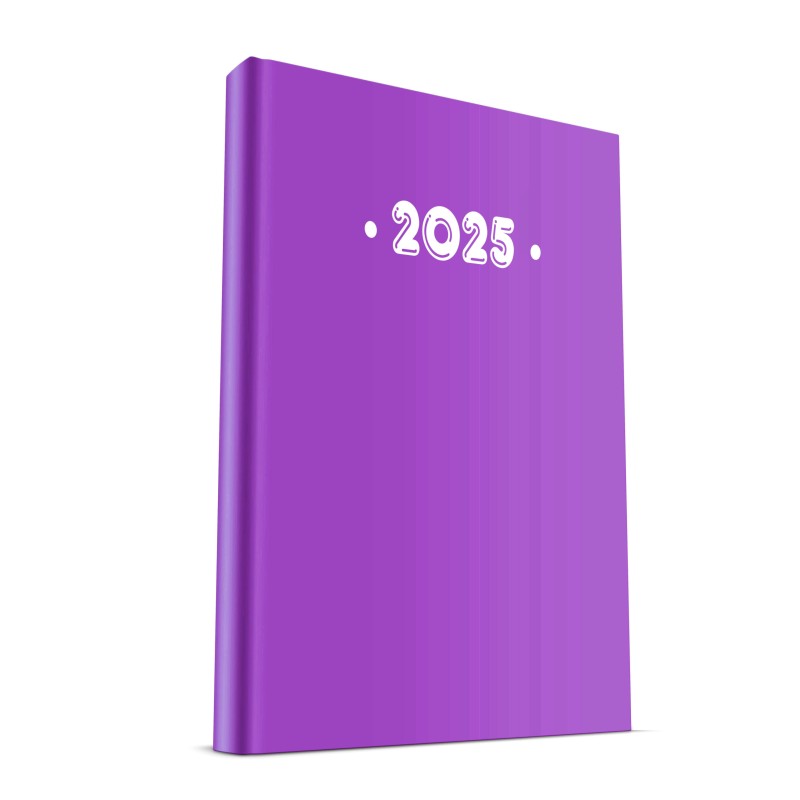 Υδρόγειος - Ημερήσιο Ημερολόγιο PVC 2025, Purple 17x24 0329