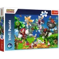 Trefl - Puzzle Sonic And Friends 160 Pcs 15421