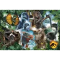 Trefl - Puzzle Favorite Dinosaurs 300 Pcs 23013