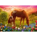 Trefl - Puzzle Horses In The Meadow 500 Pcs 37451