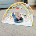 Fisher Price - Γυμναστήριο Οι Πρώτες Του Αισθήσεις HRB15