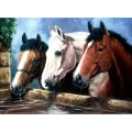 Royal & Langnickel - Painting By Numbers , Three Horses PJL23-3T