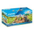 Playmobil Family Fun - Οικογένεια Λιονταριών 70343