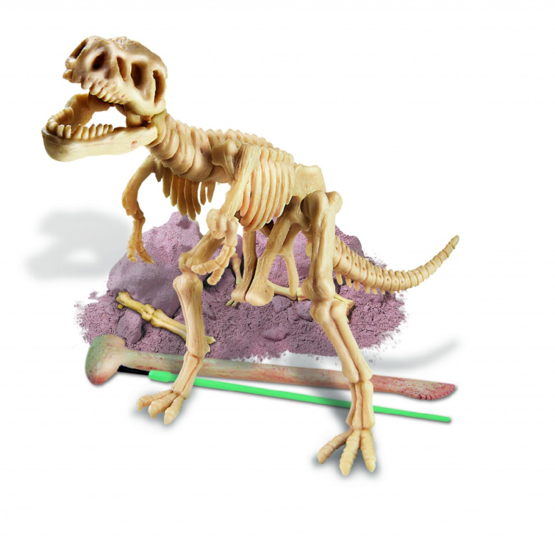 4M - Ανασκαφή Σκελετού Δεινοσαύρου, Τυραννόσαυρος REX 00-03221