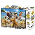 Prime 3D - 3D Puzzle Meerkats Selfie 500 Pcs 10362