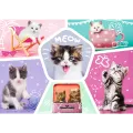 Trefl - Puzzle, Feline Pranks 200 Pcs 13247