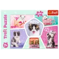 Trefl - Puzzle, Feline Pranks 200 Pcs 13247