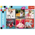 Trefl - Puzzle, Happy Dogs 200 Pcs 13279