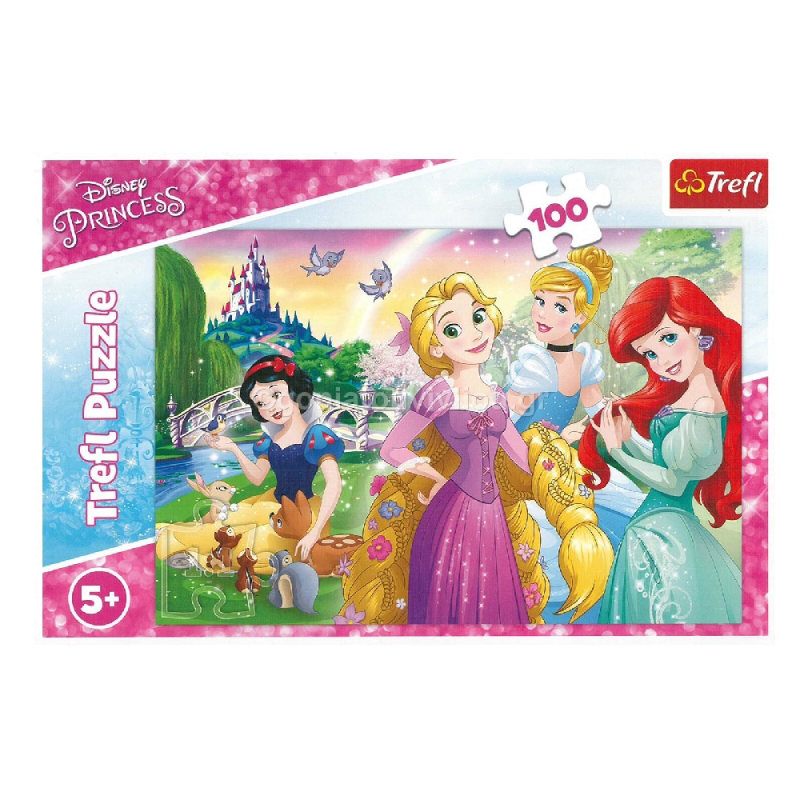 Trefl - Puzzle A Dream Of Being A Princess 100 Pcs 16393