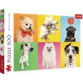 Trefl - Puzzle, Dogs 500 Pcs 37378