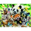 Prime 3D - 3D Puzzle Bush Babies Selfie 48 Pcs 13746