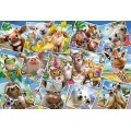 Schmidt Spiele – Puzzle Animal Selfies 200 Pcs 56294