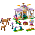 Lego Friends - Horse Training 41746