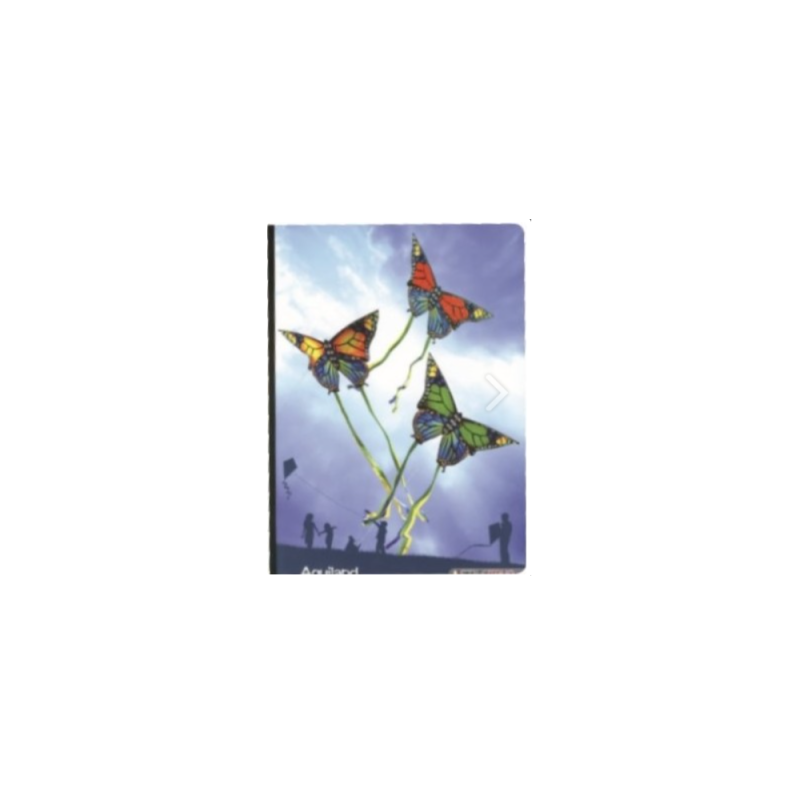 Blasetti - Τετράδιο Καρφίτσα A4, 40 Φύλλων Kite Butterfly 4949