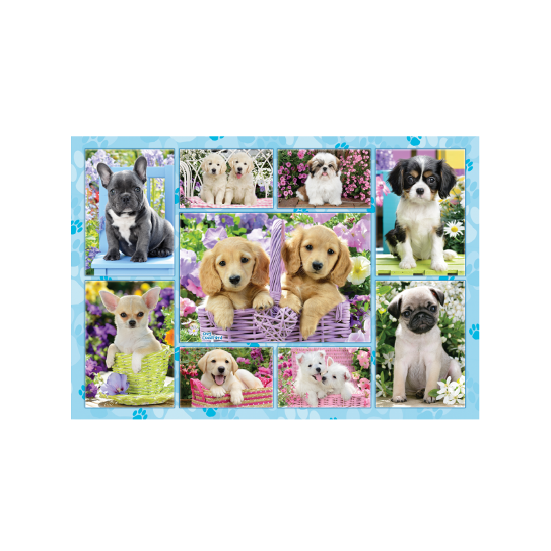 Schmidt Spiele – Puzzle Puppies 200 Pcs 56162