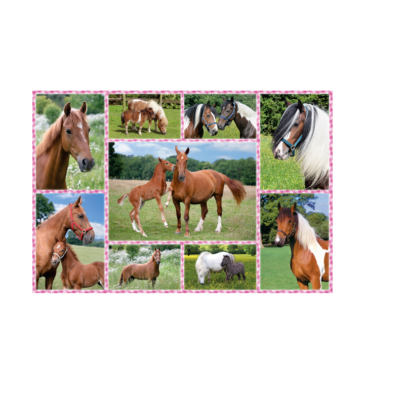 Schmidt Spiele – Puzzle Beautiful Horses 150 Pcs 56269