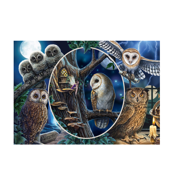 Schmidt Spiele – Puzzle Mysterious Owls 1000 Pcs 59667