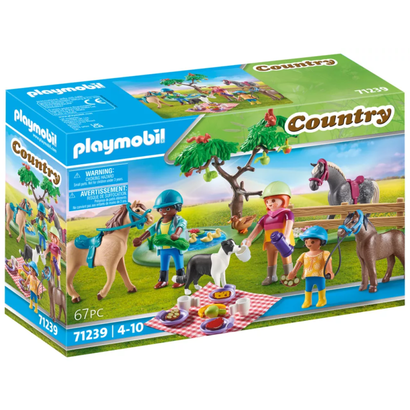 Playmobil Country - Πικ νικ Στην Εξοχή 71239