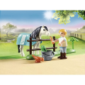 Playmobil Country - Αναβάτρια Με Classic Πόνυ 70522