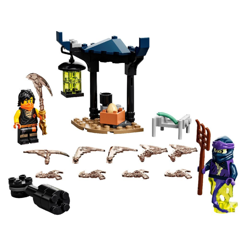 Lego Ninjago - Epic Battle Set, Cole vs. Ghost Warrior 71733