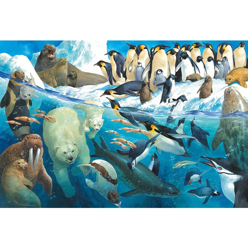 Schmidt Spiele – Animals Of The Polar Regions100 Pcs 56295