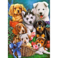 Castorland - Puzzle, Puppies 300 Pcs B-030323